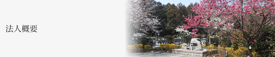 会社概要